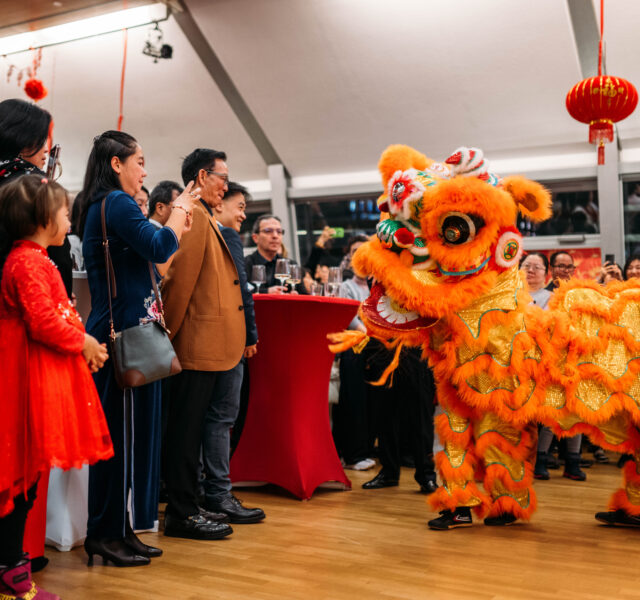 https://www.swv.wien/wp-content/uploads/2025/01/SWV_ChinesischesNeujahr_55-scaled-aspect-ratio-640-600.jpg